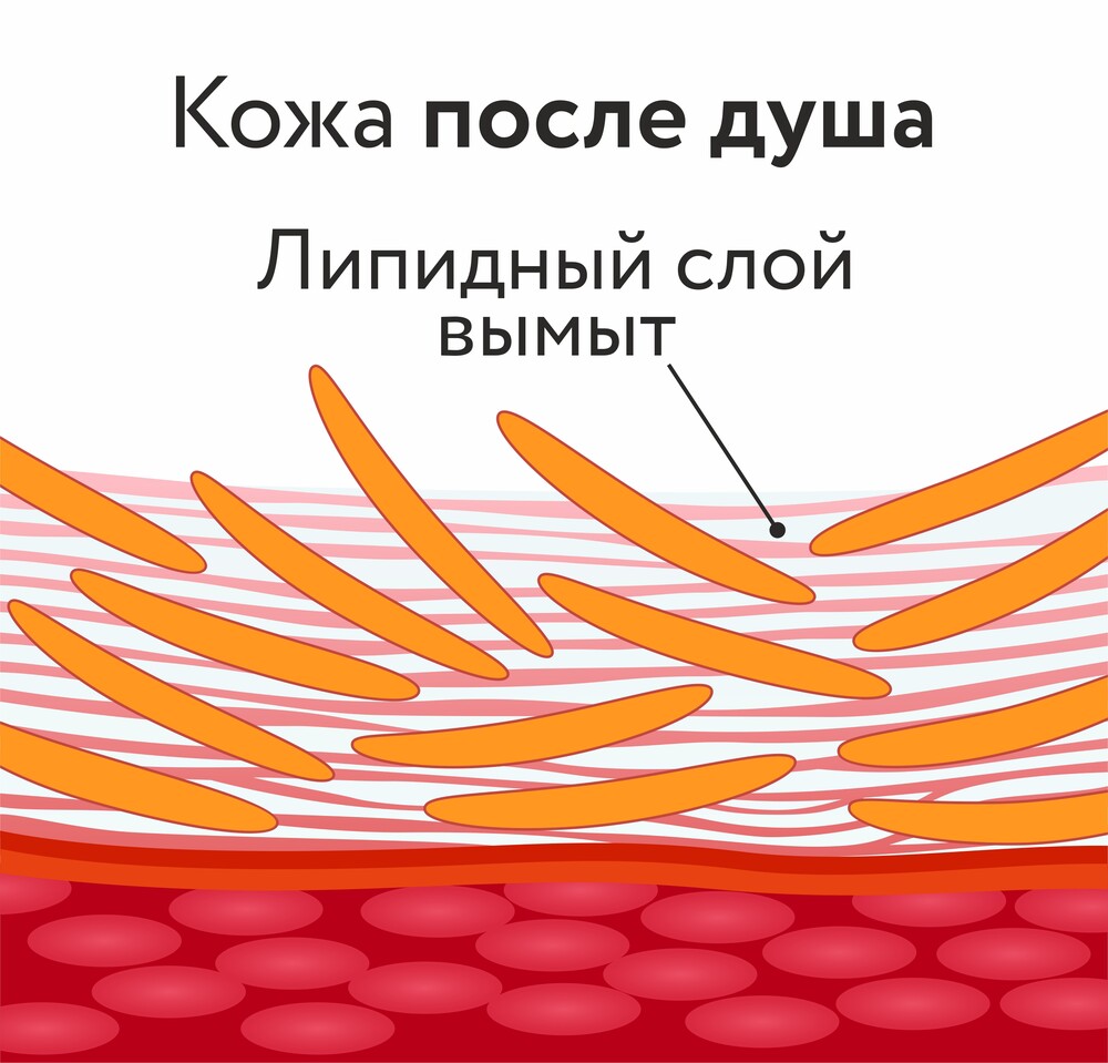 Почему вода сушит, а масла не увлажняют